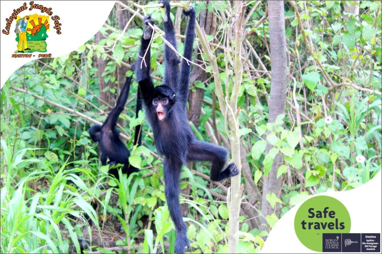 A&T Amazon Backpacker'S Bed & Breakfast Iquitos Exterior foto